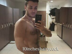10incheshairycock