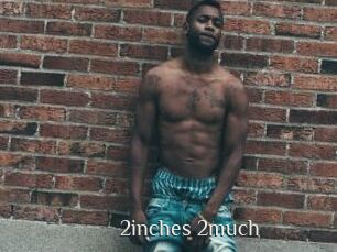 2inches_2much
