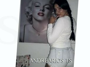 ANDREARIOS_TS