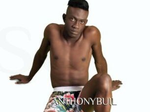ANTHONYBUIL
