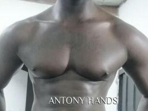 ANTONY_HANDS
