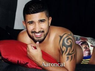 Aaroncat
