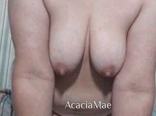 AcaciaMae