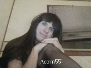 Acorn551