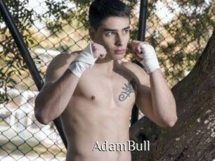AdamBull Shop coquin
