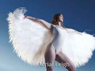 Aerial_Leigh