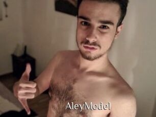 AleyModel