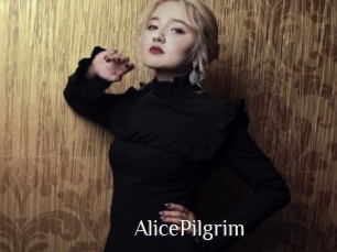 AlicePilgrim Shop coquin