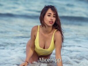 AlicePipp