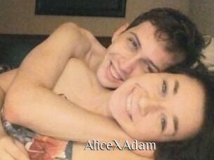 Alice_X_Adam