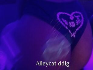 Alleycat_ddlg