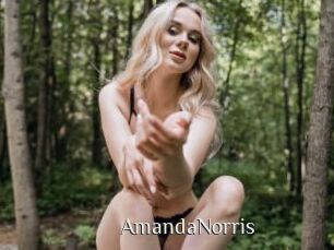 AmandaNorris Shop coquin