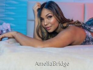 AmeliaBridge