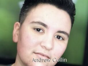 Andrew_Collin Shop coquin