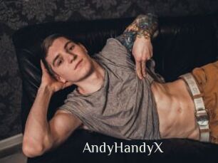 AndyHandyX