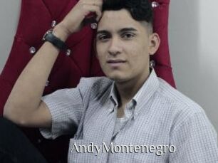 AndyMontenegro