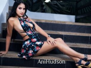 AniHudson