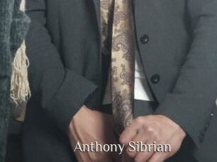 Anthony_Sibrian Shop coquin