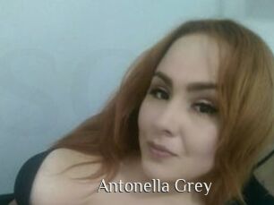 Antonella_Grey