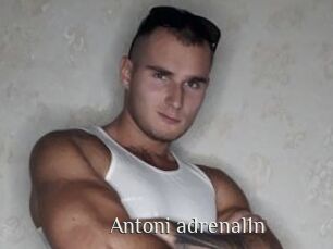 Antoni_adrenal1n
