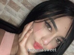 Antonia_sweet