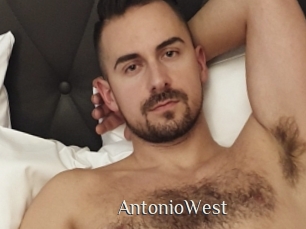 AntonioWest Shop coquin