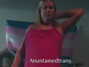 Anuntamedtrans