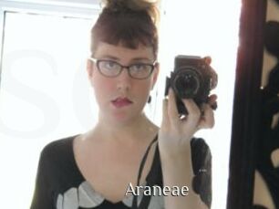 Araneae