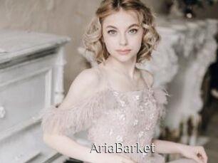 AriaBarket Shop coquin