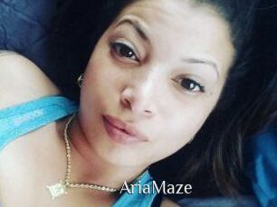 Aria_Maze