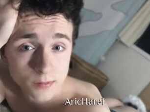 Aric_Harel