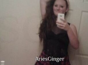 AriesGinger