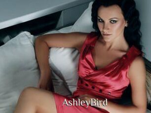 AshleyBird Shop coquin