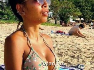 Asian_Fox