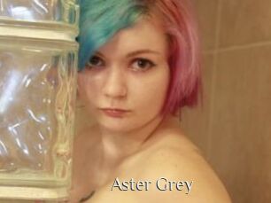 Aster_Grey