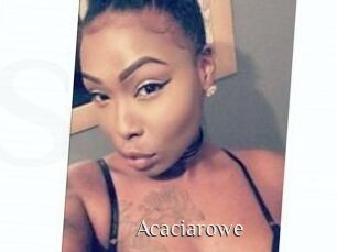 Acacia_rowe
