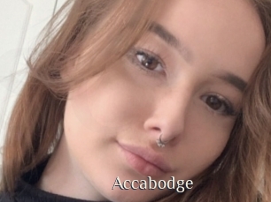 Accabodge