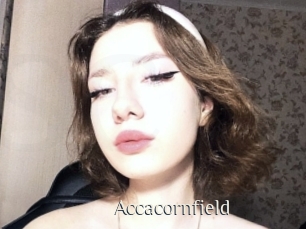 Accacornfield