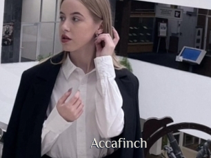 Accafinch