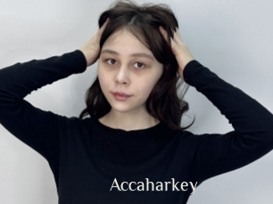 Accaharkey