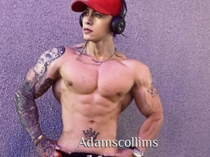Adamscollims