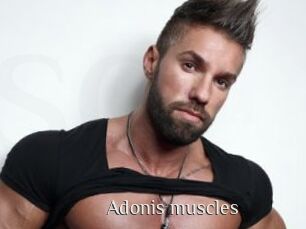 Adonis_muscles