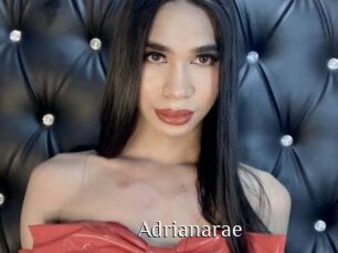 Adrianarae