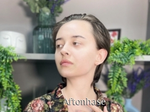 Aftonhase