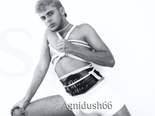 Agnidush66