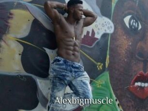 Alexbigmuscle