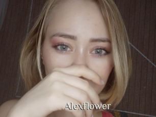 alexflower Shop coquin