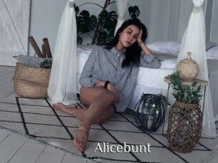 alicebunt Shop coquin
