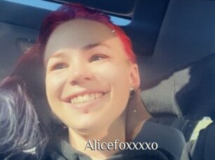 Alicefoxxxxo