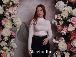 Alicelindberg